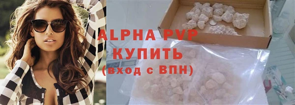 шишки Баксан