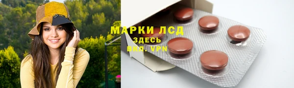 шишки Баксан