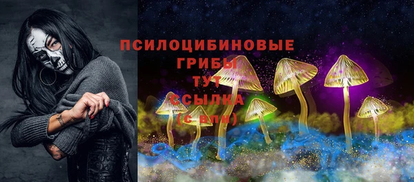 ПСИЛОЦИБИНОВЫЕ ГРИБЫ Сатка