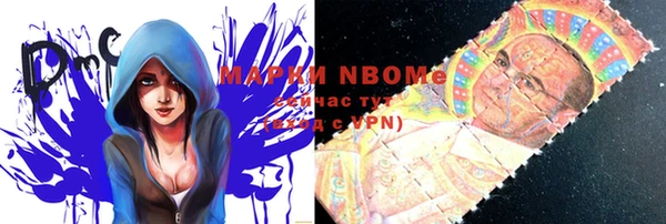 шишки Баксан