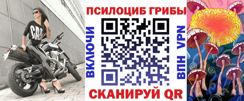Псилоцибиновые грибы Cubensis  даркнет сайт  Гай 